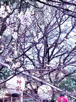 桜神宮の{uncategorized: "未分類", other: "その他", undefined: "問題あり", building: "その他建物", grave: "お墓", sacred_gate: "鳥居", guardian: "狛犬", statue: "像", buddha: "仏像", history: "歴史", nature: "自然", garden: "庭園", animal: "動物", pagoda: "塔", temizu: "手水舎", mountain_gate: "山門・神門", sanctuary: "本殿・本堂", subordinate: "末社・摂社", art: "芸術", scenery: "景色", jizo: "地蔵", ema: "絵馬", goshuin: "御朱印", omikuji: "おみくじ", items: "授与品その他", amulet: "お守り", goshuincho: "御朱印帳", eats: "食事", festival: "お祭り", votive_dance: "神楽", shichigosan: "七五三参", wedding: "結婚式", experience: "体験その他", initially: "初詣", around: "周辺", anti_infection: "感染症対策"}