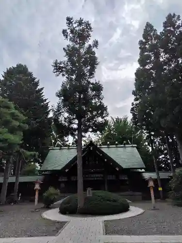 琴似神社(北海道)