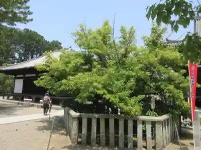 鶴林寺のその他建物
