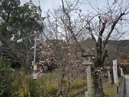 松尾大社(京都府)