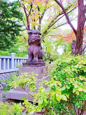 彌彦神社　(伊夜日子神社)の狛犬