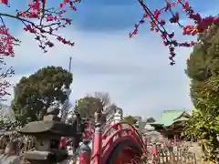 亀戸天神社の景色