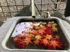 武甕槌神社の手水
