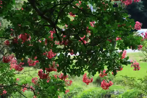 鹿島大神宮の庭園