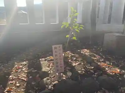 天縛皇神社(神奈川県)