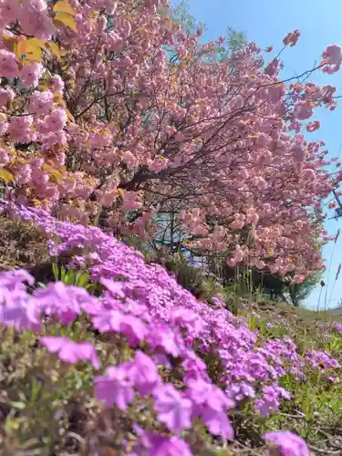 厚別神社(北海道)
