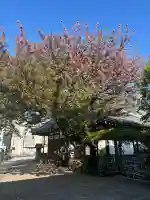 感通寺の{uncategorized: "未分類", other: "その他", undefined: "問題あり", building: "その他建物", grave: "お墓", sacred_gate: "鳥居", guardian: "狛犬", statue: "像", buddha: "仏像", history: "歴史", nature: "自然", garden: "庭園", animal: "動物", pagoda: "塔", temizu: "手水舎", mountain_gate: "山門・神門", sanctuary: "本殿・本堂", subordinate: "末社・摂社", art: "芸術", scenery: "景色", jizo: "地蔵", ema: "絵馬", goshuin: "御朱印", omikuji: "おみくじ", items: "授与品その他", amulet: "お守り", goshuincho: "御朱印帳", eats: "食事", festival: "お祭り", votive_dance: "神楽", shichigosan: "七五三参", wedding: "結婚式", experience: "体験その他", initially: "初詣", around: "周辺", anti_infection: "感染症対策"}