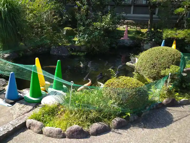 金剛寺のその他建物