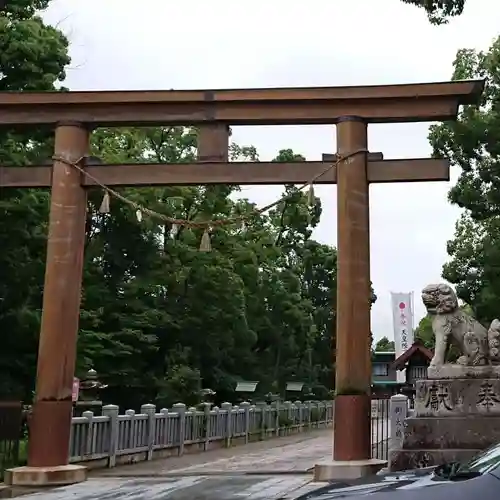 和泉國一之宮　大鳥大社の鳥居