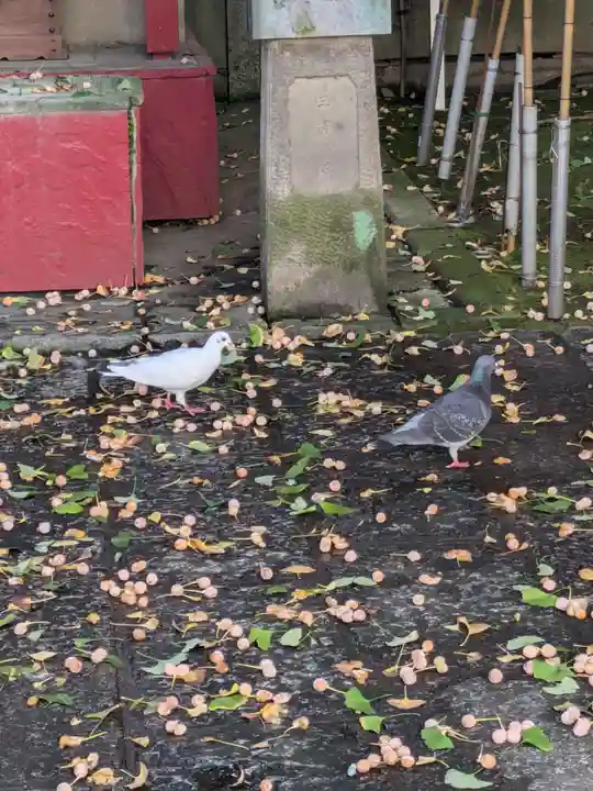 本覚寺(東京都)