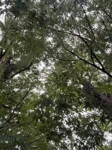 前川神社(埼玉県)