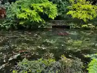 根道神社の{uncategorized: "未分類", other: "その他", undefined: "問題あり", building: "その他建物", grave: "お墓", sacred_gate: "鳥居", guardian: "狛犬", statue: "像", buddha: "仏像", history: "歴史", nature: "自然", garden: "庭園", animal: "動物", pagoda: "塔", temizu: "手水舎", mountain_gate: "山門・神門", sanctuary: "本殿・本堂", subordinate: "末社・摂社", art: "芸術", scenery: "景色", jizo: "地蔵", ema: "絵馬", goshuin: "御朱印", omikuji: "おみくじ", items: "授与品その他", amulet: "お守り", goshuincho: "御朱印帳", eats: "食事", festival: "お祭り", votive_dance: "神楽", shichigosan: "七五三参", wedding: "結婚式", experience: "体験その他", initially: "初詣", around: "周辺", anti_infection: "感染症対策"}