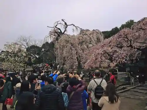 氷室神社のその他建物