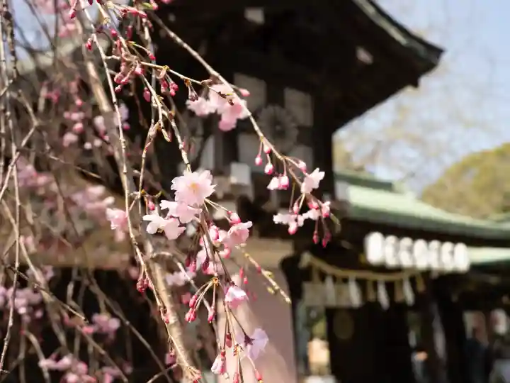 大宮八幡宮の{uncategorized: "未分類", other: "その他", undefined: "問題あり", building: "その他建物", grave: "お墓", sacred_gate: "鳥居", guardian: "狛犬", statue: "像", buddha: "仏像", history: "歴史", nature: "自然", garden: "庭園", animal: "動物", pagoda: "塔", temizu: "手水舎", mountain_gate: "山門・神門", sanctuary: "本殿・本堂", subordinate: "末社・摂社", art: "芸術", scenery: "景色", jizo: "地蔵", ema: "絵馬", goshuin: "御朱印", omikuji: "おみくじ", items: "授与品その他", amulet: "お守り", goshuincho: "御朱印帳", eats: "食事", festival: "お祭り", votive_dance: "神楽", shichigosan: "七五三参", wedding: "結婚式", experience: "体験その他", initially: "初詣", around: "周辺", anti_infection: "感染症対策"}