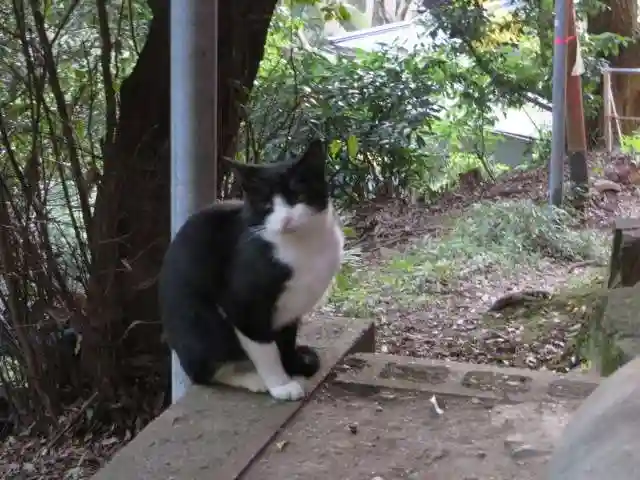 伏見稲荷大社(京都府)