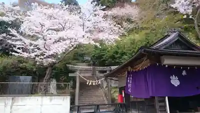 日吉山王神社の自然