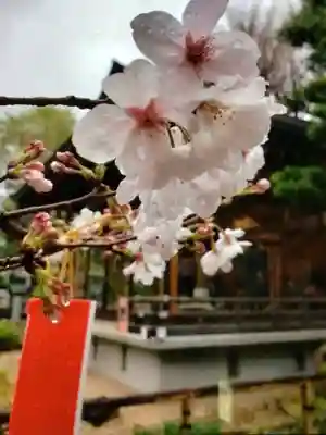 鳩森八幡神社(東京都)