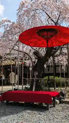 水無瀬神宮(大阪府)