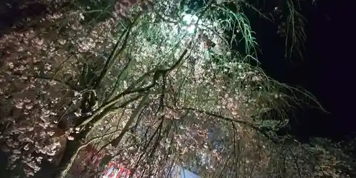 平野神社(京都府)