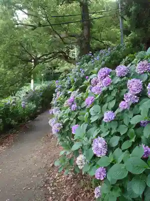 秋葉神社の自然