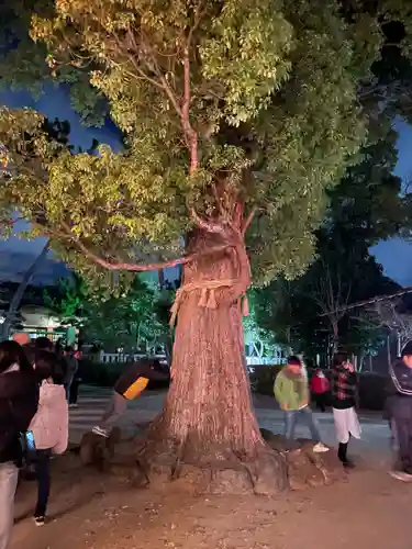 須左男神社(兵庫県)