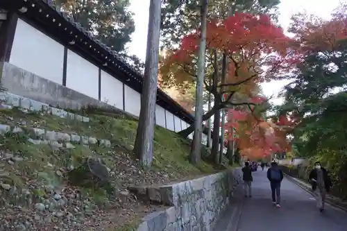東福禅寺（東福寺）(京都府)
