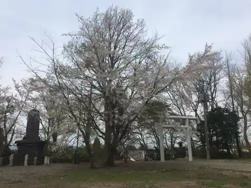 砂川神社の自然