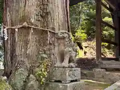 八幡神社(福井県)