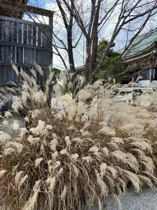 忉利天上寺(兵庫県)