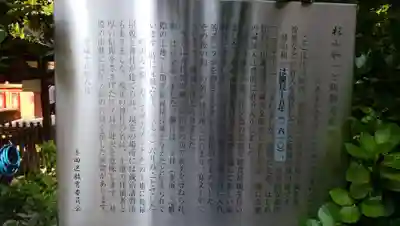 江島杉山神社の歴史