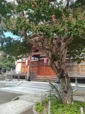 道安寺(宮城県)