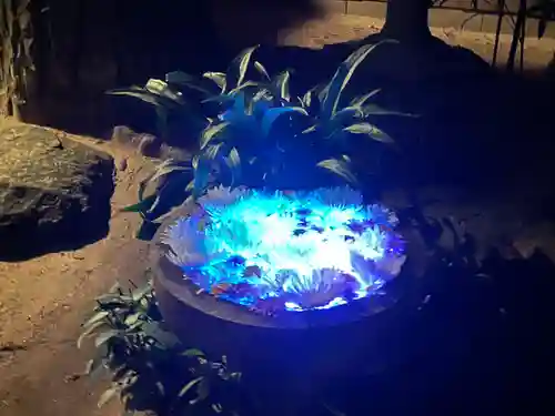 菅生神社(愛知県)