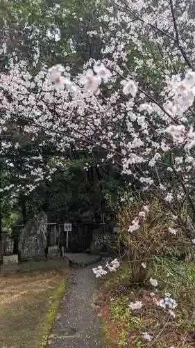 十輪寺(京都府)