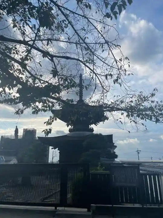 大樹寺(松安院大樹寺)(愛知県)