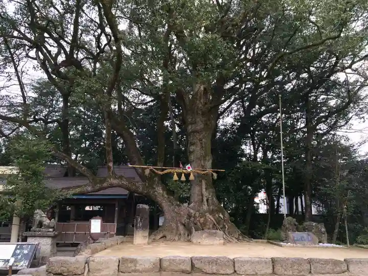 青井阿蘇神社(熊本県)