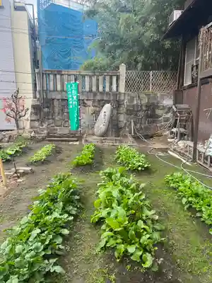 玉造稲荷神社(大阪府)
