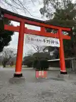 平野神社の{uncategorized: "未分類", other: "その他", undefined: "問題あり", building: "その他建物", grave: "お墓", sacred_gate: "鳥居", guardian: "狛犬", statue: "像", buddha: "仏像", history: "歴史", nature: "自然", garden: "庭園", animal: "動物", pagoda: "塔", temizu: "手水舎", mountain_gate: "山門・神門", sanctuary: "本殿・本堂", subordinate: "末社・摂社", art: "芸術", scenery: "景色", jizo: "地蔵", ema: "絵馬", goshuin: "御朱印", omikuji: "おみくじ", items: "授与品その他", amulet: "お守り", goshuincho: "御朱印帳", eats: "食事", festival: "お祭り", votive_dance: "神楽", shichigosan: "七五三参", wedding: "結婚式", experience: "体験その他", initially: "初詣", around: "周辺", anti_infection: "感染症対策"}