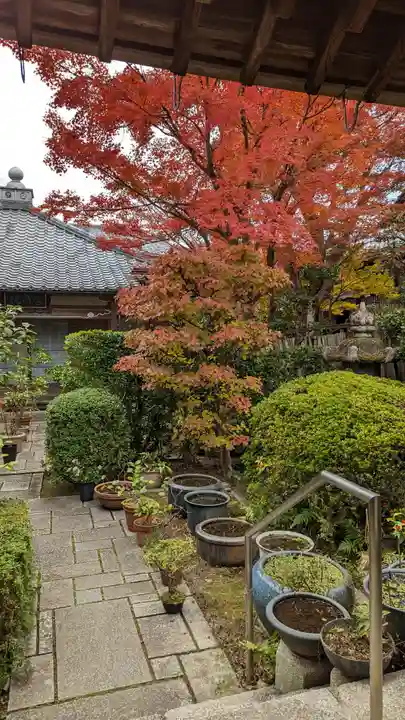 覚円院(京都府)