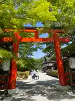 賀茂御祖神社(下鴨神社)の鳥居