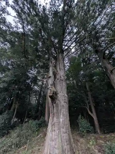 粟鹿神社の{uncategorized: "未分類", other: "その他", undefined: "問題あり", building: "その他建物", grave: "お墓", sacred_gate: "鳥居", guardian: "狛犬", statue: "像", buddha: "仏像", history: "歴史", nature: "自然", garden: "庭園", animal: "動物", pagoda: "塔", temizu: "手水舎", mountain_gate: "山門・神門", sanctuary: "本殿・本堂", subordinate: "末社・摂社", art: "芸術", scenery: "景色", jizo: "地蔵", ema: "絵馬", goshuin: "御朱印", omikuji: "おみくじ", items: "授与品その他", amulet: "お守り", goshuincho: "御朱印帳", eats: "食事", festival: "お祭り", votive_dance: "神楽", shichigosan: "七五三参", wedding: "結婚式", experience: "体験その他", initially: "初詣", around: "周辺", anti_infection: "感染症対策"}