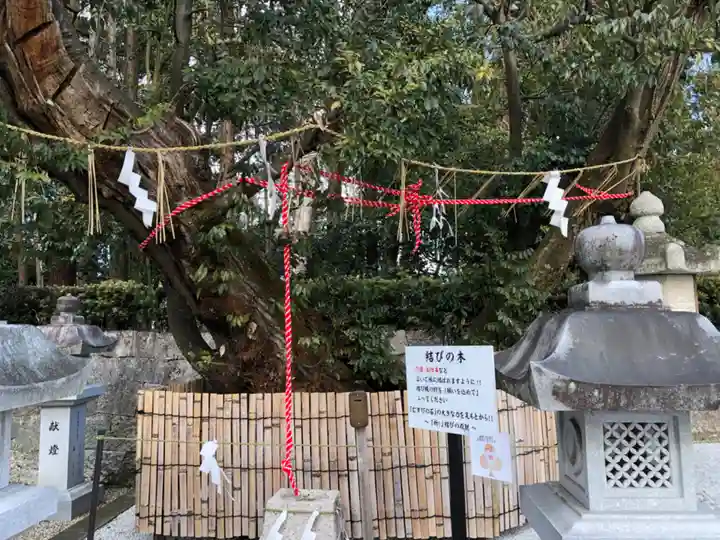 神田神社の自然