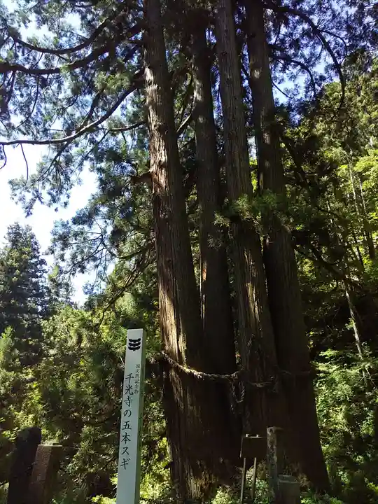 千光寺(岐阜県)