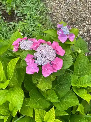 久安寺(大阪府)