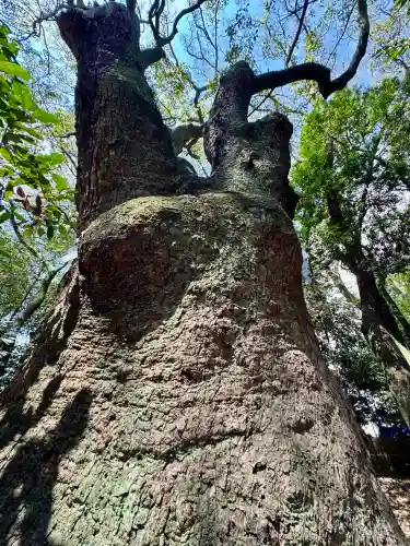 生田神社(兵庫県)