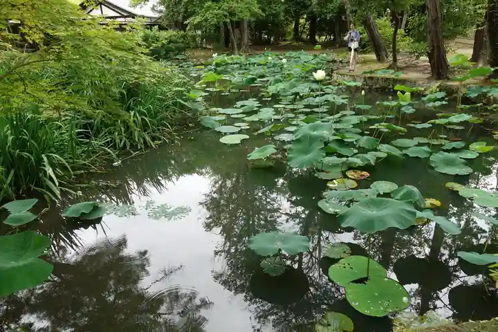 唐招提寺の庭園