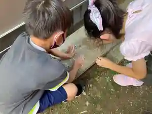 蓮久寺(千葉県)(2021年06月25日(金) 00時34分31秒投稿)