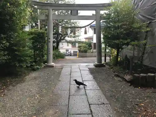 星川杉山神社の鳥居