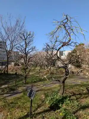 布多天神社(東京都)