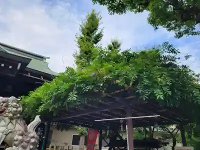 お三の宮日枝神社のその他建物