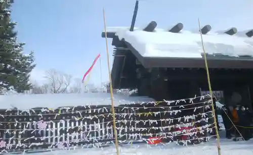 札幌護國神社のおみくじ